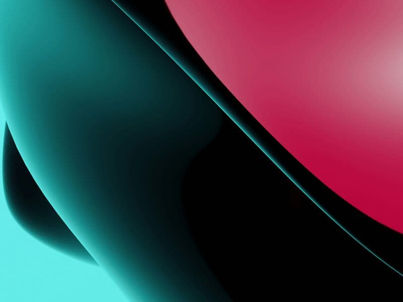 5 things every Sydney small business website needs